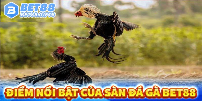 Cơ hội kiếm tiền lớn với các kèo cược hấp dẫn tại sảnh này