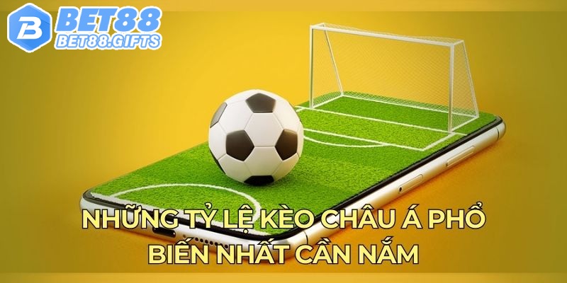 Kèo Châu Á - Mách Nước Bí Quyết Cá Độ Thắng Lớn Ở Bet88 2 Những tỷ lệ kèo châu Á phổ biến nhất cần nắm